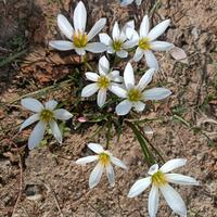 自由自在的长大头像