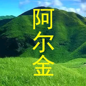 阿尔金头像
