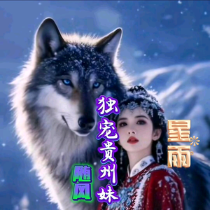 随风哥头像
