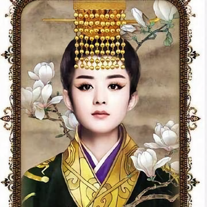 兵权谋家头像
