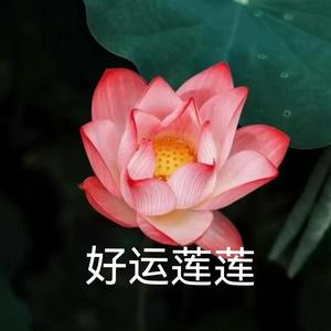 跃动体育风头像