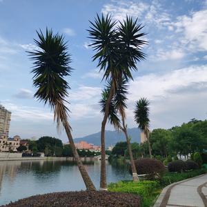 海神斌头像