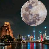 财商加思维头像