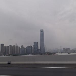 小黑猿头像