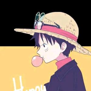海贼君头像