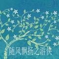 随风飘扬之游侠头像