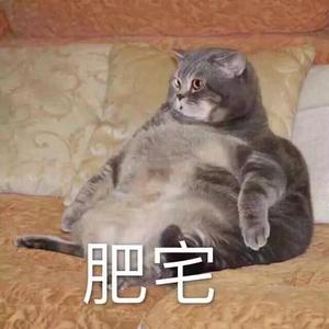 肥宅世良 头像