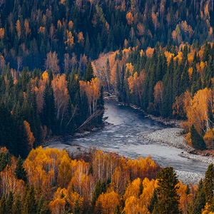 巴尔家庭笔记 头像