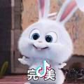 小白菜与玫瑰头像