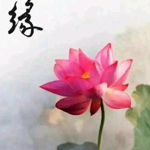 静水头像