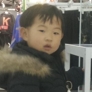 一介布衣张头像