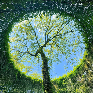 雨碎丹青头像