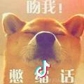 勇往直前分秒必争每日一笑头像