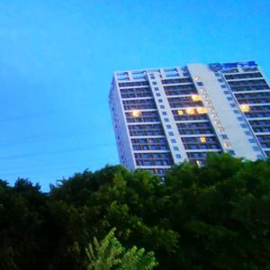 沙漠骆驼头像