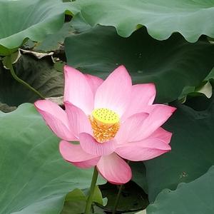 行与思享生活多姿头像