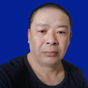 醉爱枫林头像