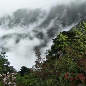 晓馬哥生活记录头像