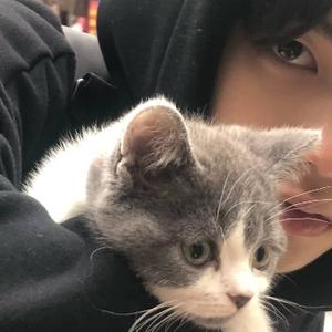 逆转时23头像