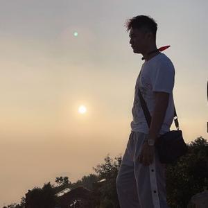 树千帆13头像