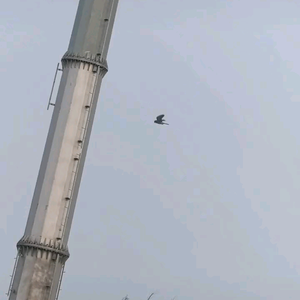 循环扇1号仓头像