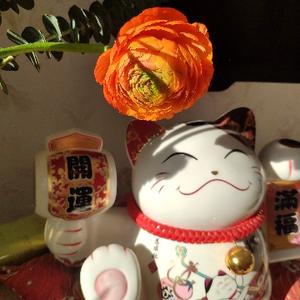 闲云为邻头像