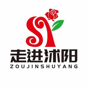 走进沭阳头像
