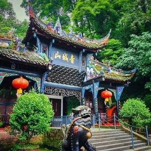 坐虎针龙头像