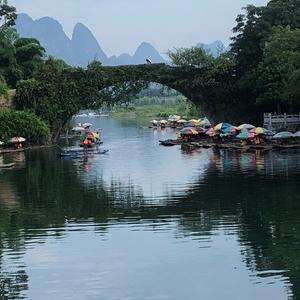 小阿兰解说头像