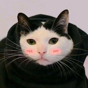 音乐阿来头像