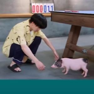 寻找吃瓜网超头像