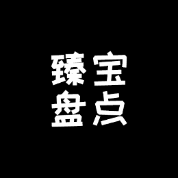 臻宝音乐车载U盘头像