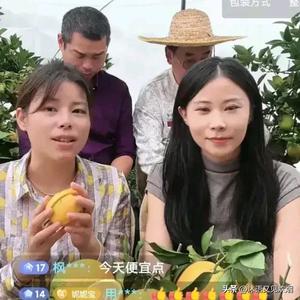 四宝兄妹守护头像