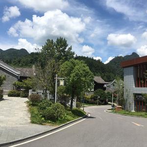 重庆雾都小吃货头像