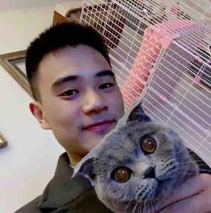 狗不理猪头像