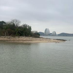 森哥仔头像