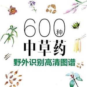 植物医生大集头像