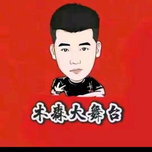 木森民间大舞台头像