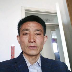 金猪开泰头像