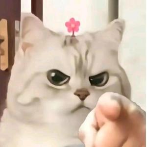 迷你世界（芒果）头像
