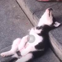 子曰佛曰对头像