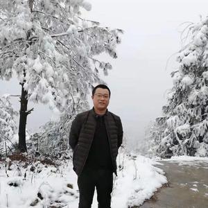 自若书签HO4头像