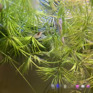 不要和我讲道李 头像