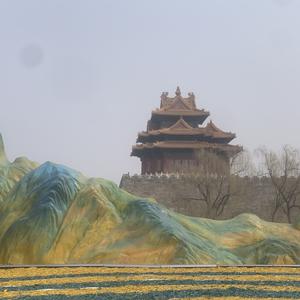 木海分享头像