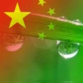云一五头像