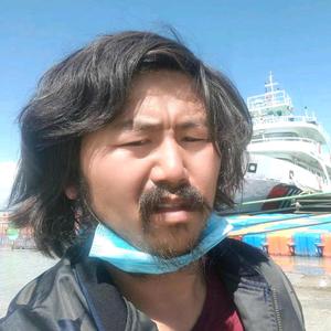 让孝心回家胡雷头像
