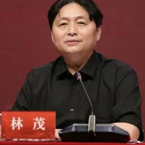 书画进万家6688头像