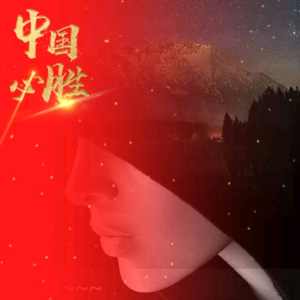 比亚迪秦爱了头像