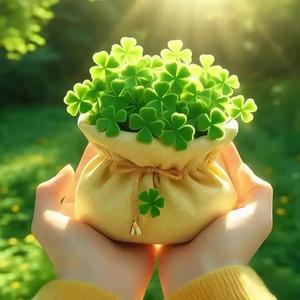 爱生活的珊珊33头像