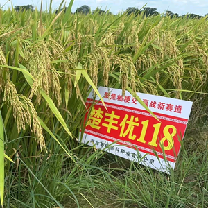 陈代兵519头像