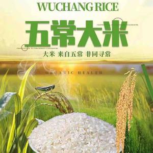 大陆你表哥头像